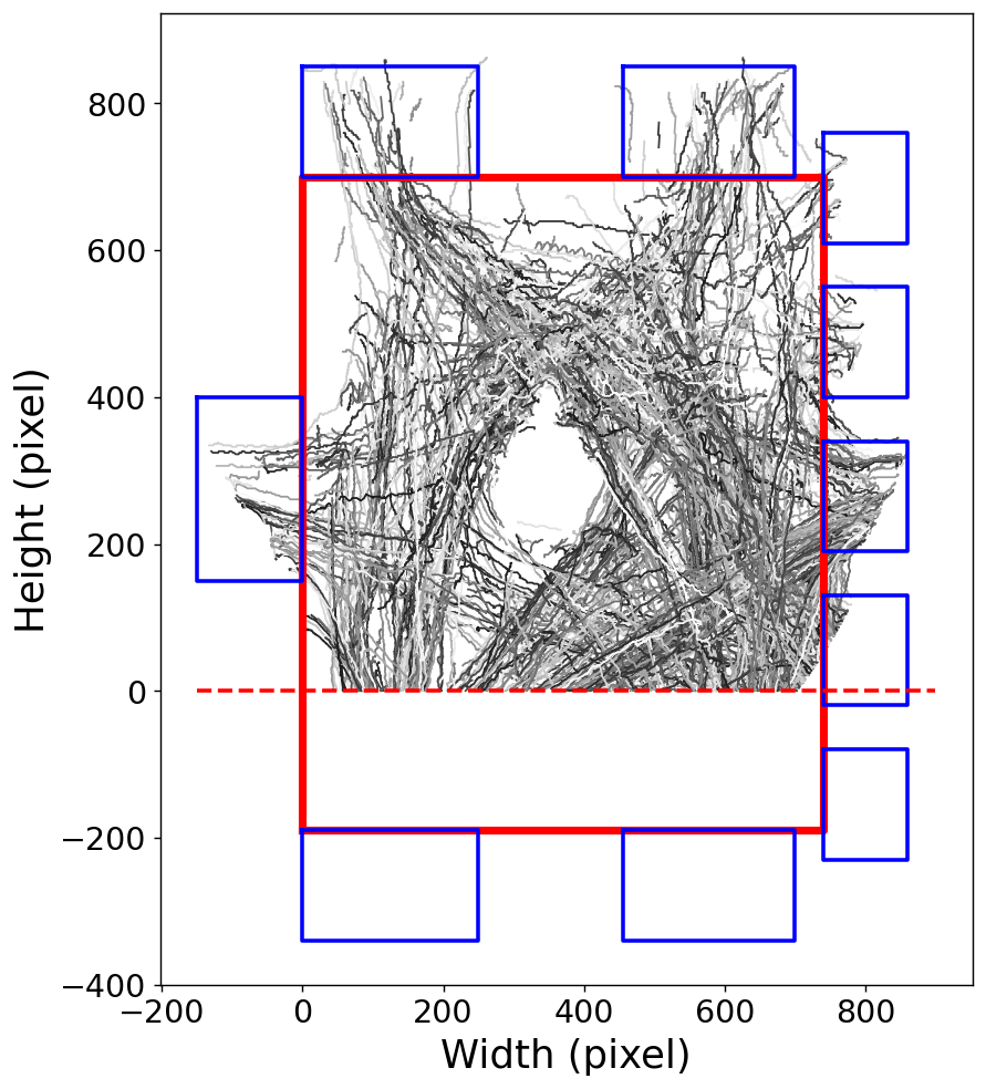 Pedestrian trajectories estimated from the video