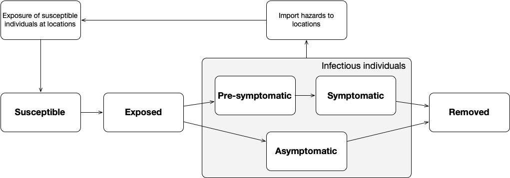 Different disease stages: susceptible, exposed (pre)(a)symptomatic, removed