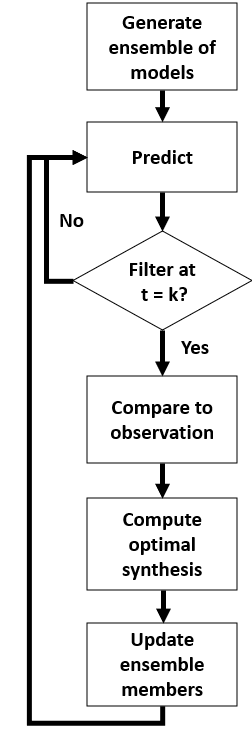 Flowchart illustrating the particle filter process. It begins with generating an ensemble of models, followed by predictions. At each time step, the algorithm checks if filtering is required (t = k). If yes, the predictions are compared to observations, optimal synthesis is computed, and ensemble members are updated. The process repeats for subsequent time steps.